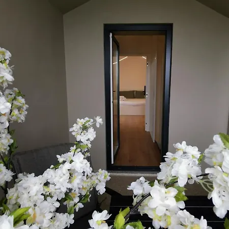 Cidade Alojamento Casa de hóspedes *