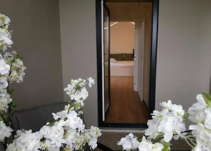 Cidade Alojamento Gæstehus *